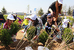 “w66最给利老牌故乡林”植树活动