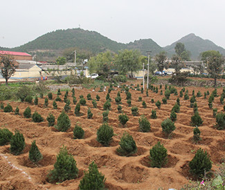 公益财团法人w66最给利老牌环境财团开展的植树活动